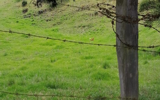 Finca en VENTA Tocancipá | Canavita Alta, Sector Buenos Aires
