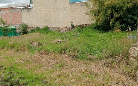 Lote en VENTA Sabana | Sector Industrial Verganzo